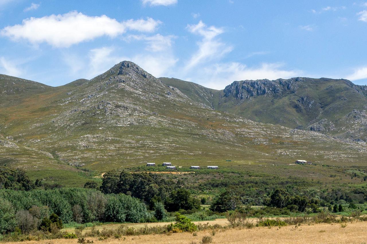 Phillipskop Mountain Reserve Stanford Esterno foto