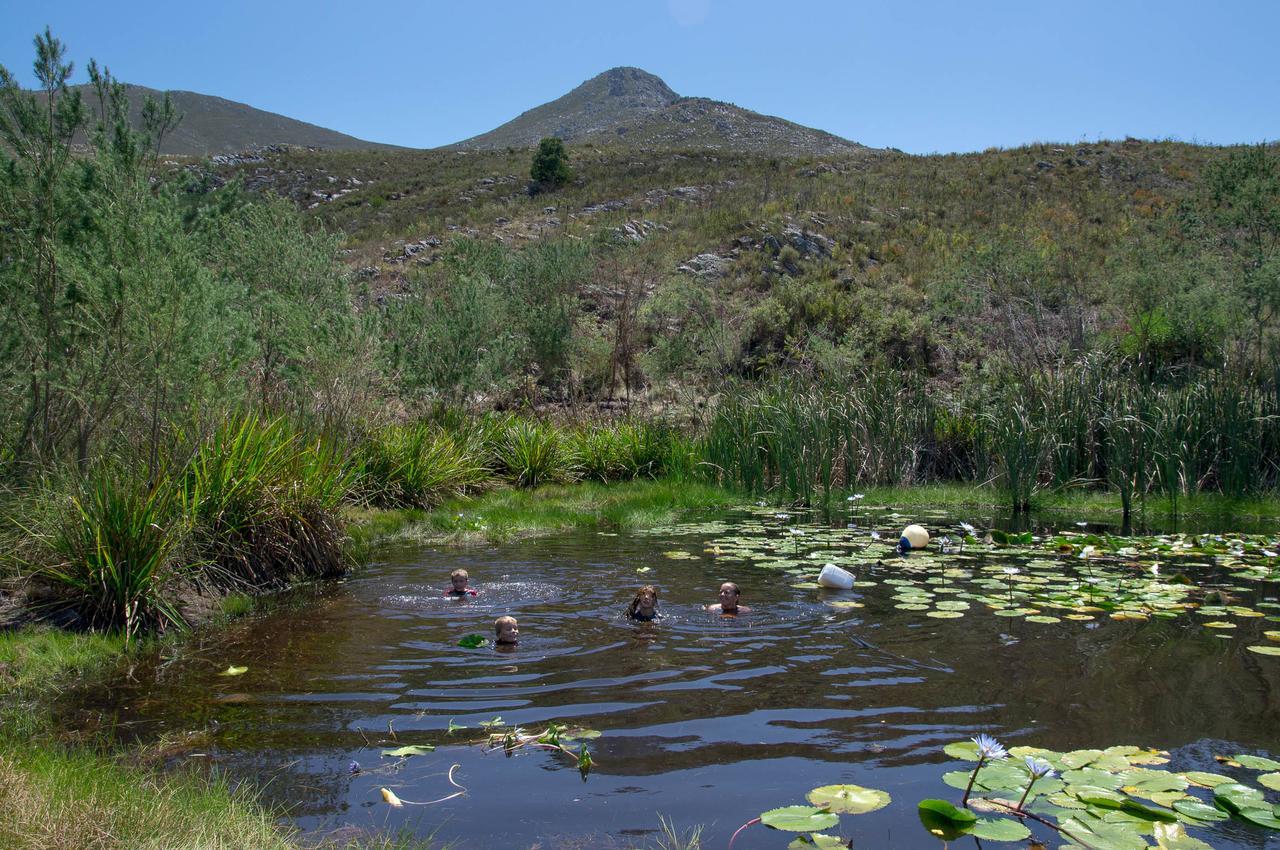 Phillipskop Mountain Reserve Stanford Esterno foto